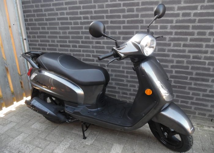Sym fiddle 2 Bronze Grey 5+